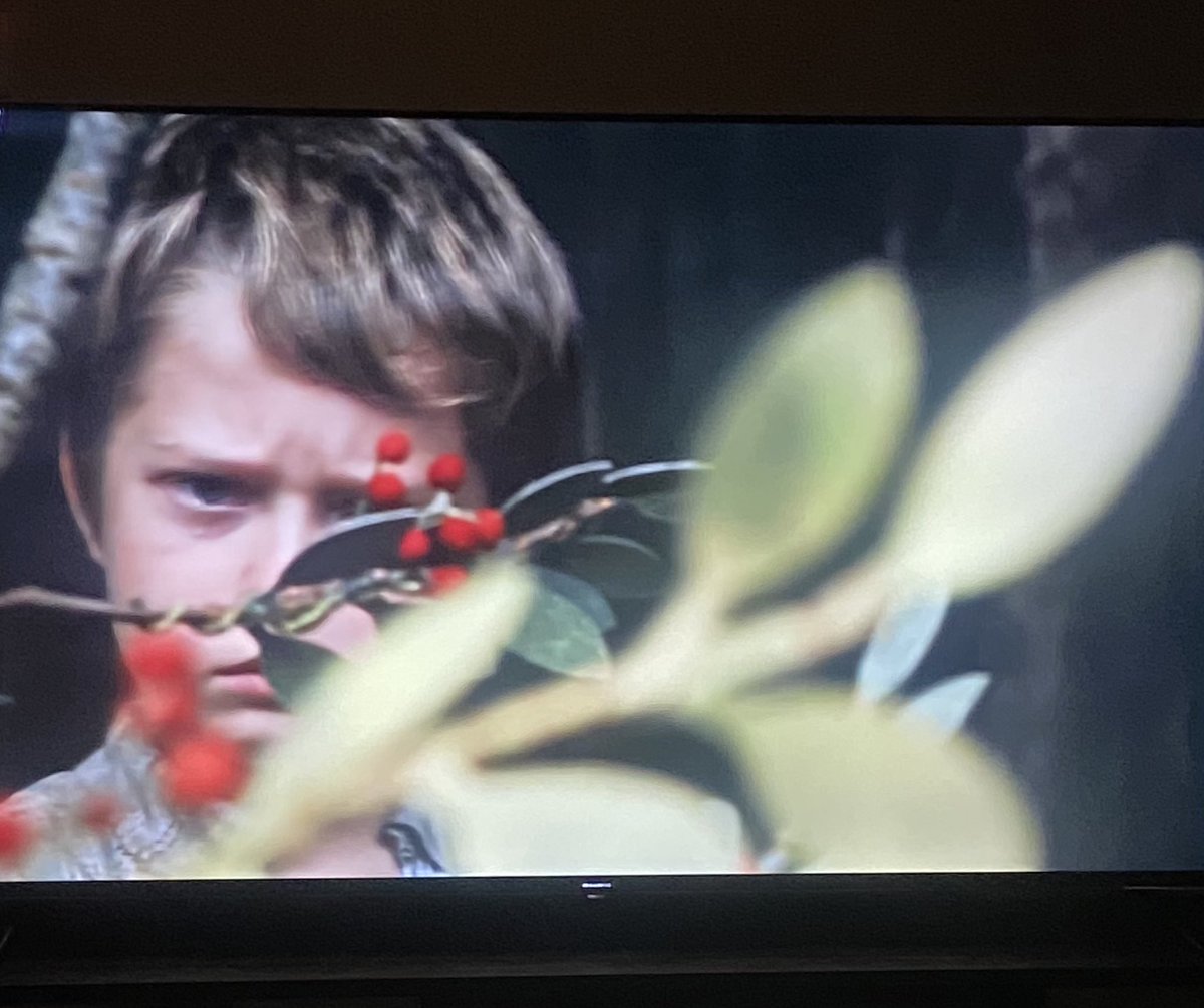 Haifa Alhawiti tweet media