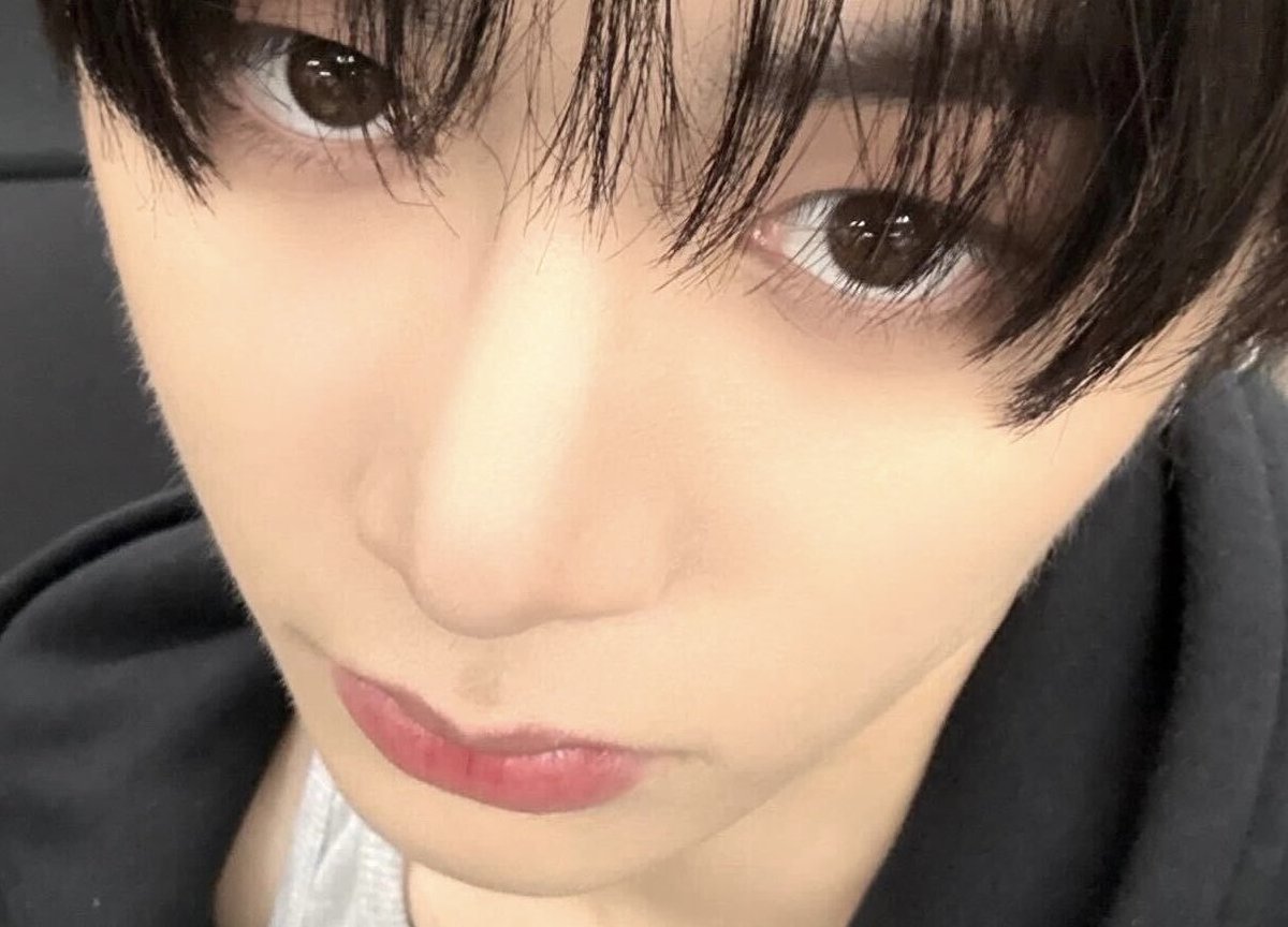 내 실바니안 태사니 왓다ㅜㅜ