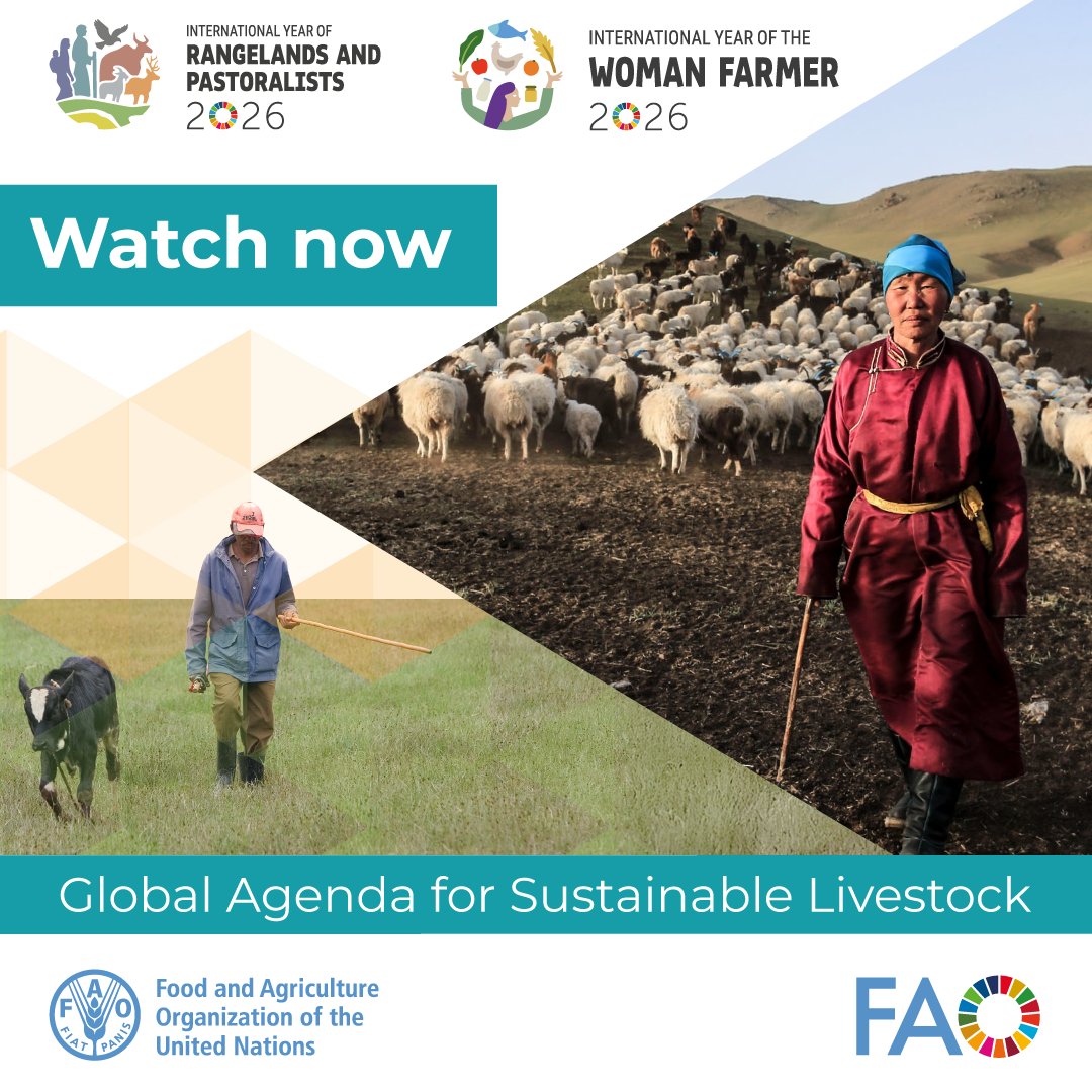 FAO Livestock tweet media