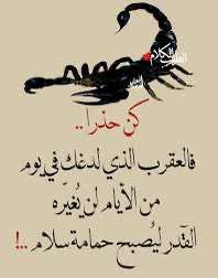 fahad7804's tweet photo. https://t.co/u5AjlvIkUc