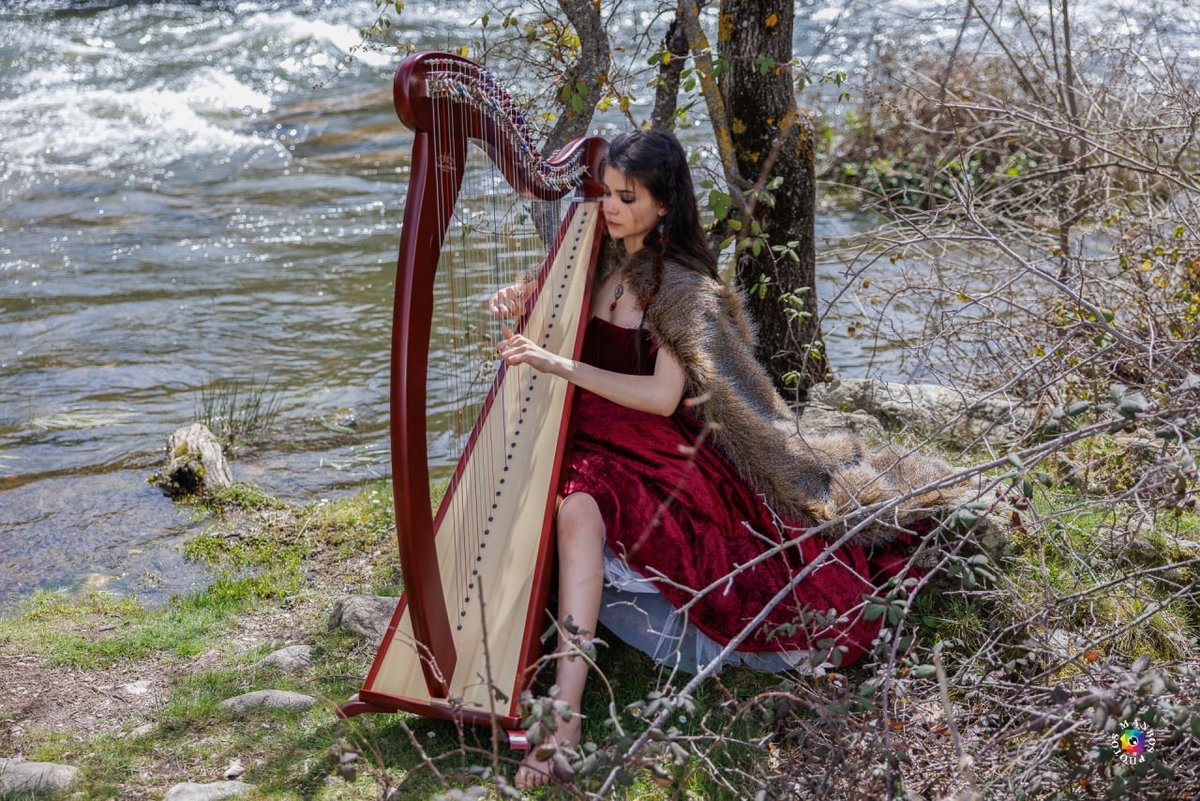 Harpee Dreams tweet media