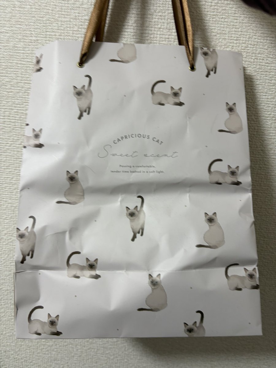 breisel's tweet image. 今日はバレンタインなので嫁からチョコを貰いました！！！嬉しい！！