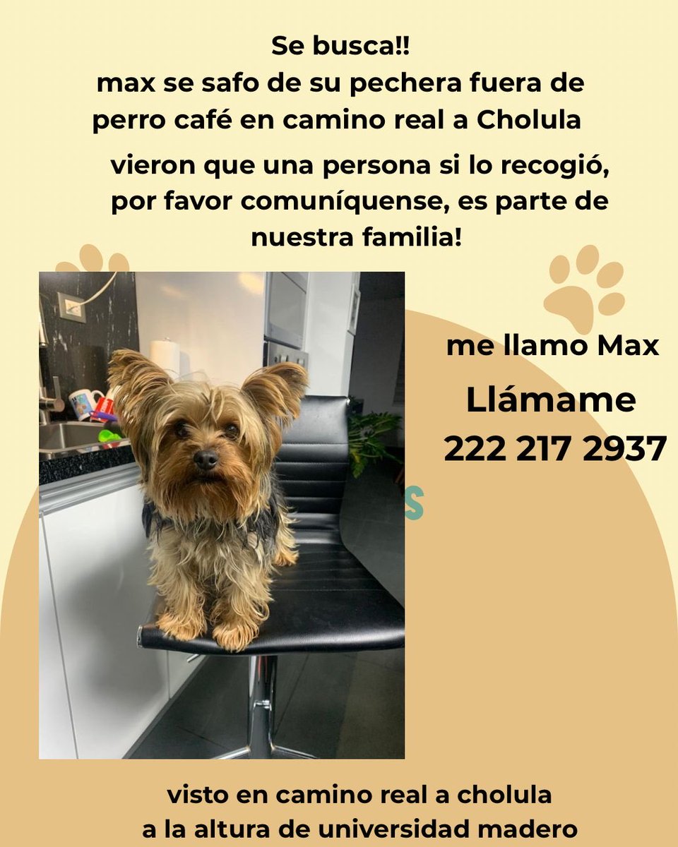 El Rolo ⚽️ (@elrolojpdm) on Twitter photo 