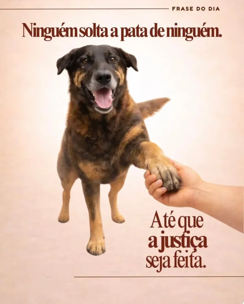 __sc0rpi0n's tweet photo. Ele não será esquecido !  #BRAZILFORORELHA https://t.co/MYRIgm4sRz