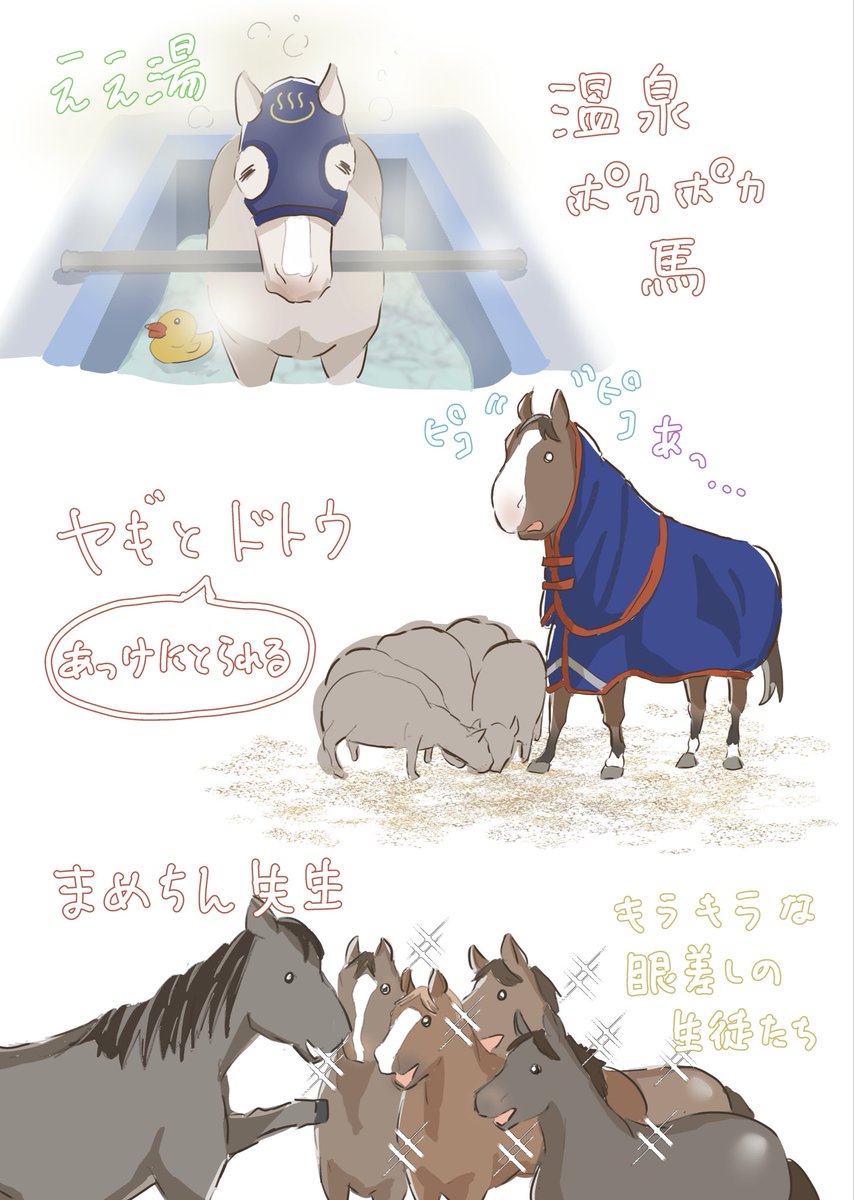 「馬好きです！！」て言うとだいたいの人は「馬てかっこいいよね」て答えが返ってくるけど違うんだよ！！可愛いんだよ！！メイショウドトウさんとかまめちん先生とか温泉に入ったりさ！