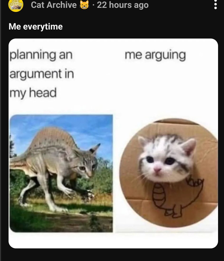 Authentically Bekah ✍️📚 tweet media