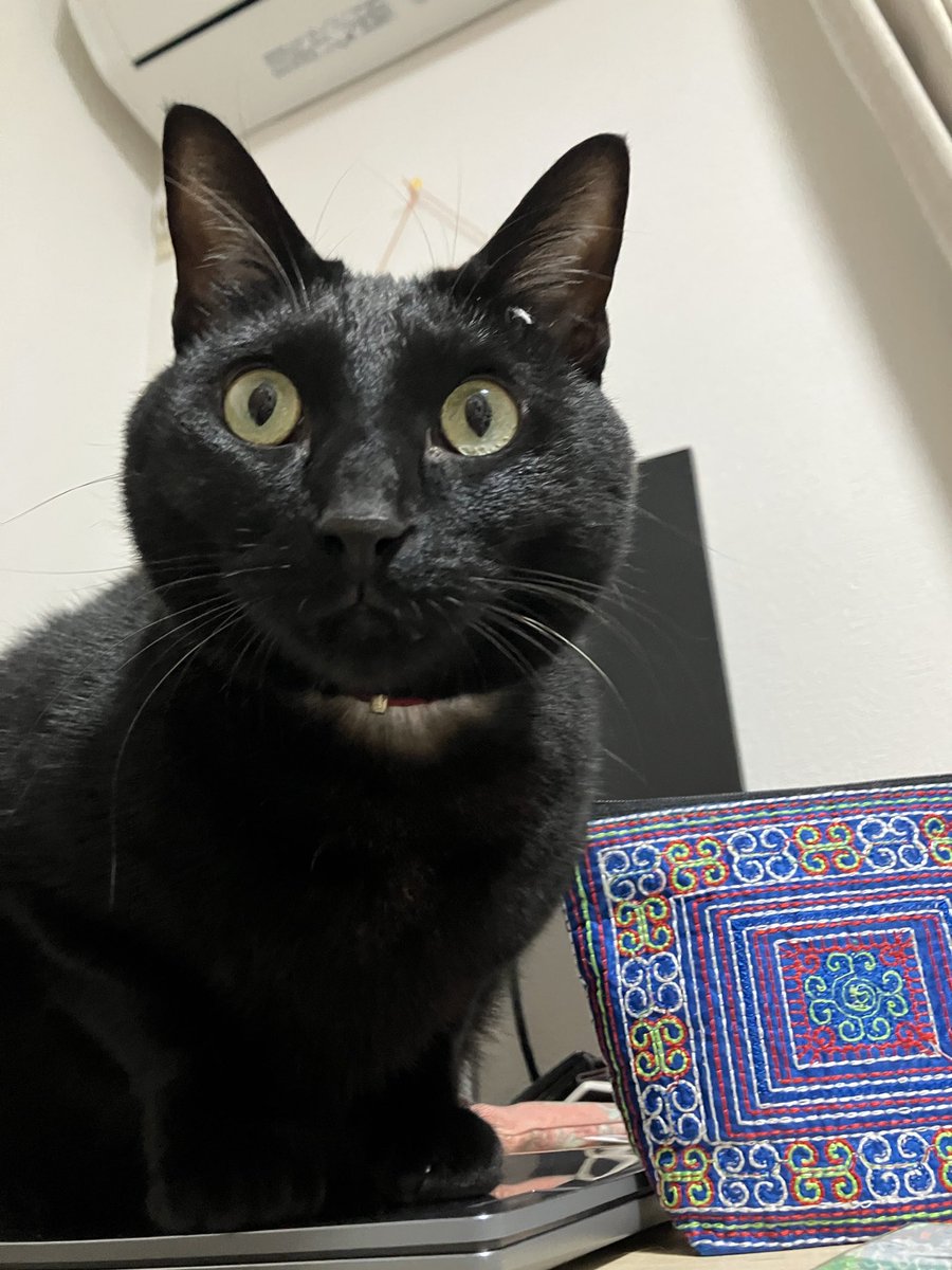 何かついてますよ？