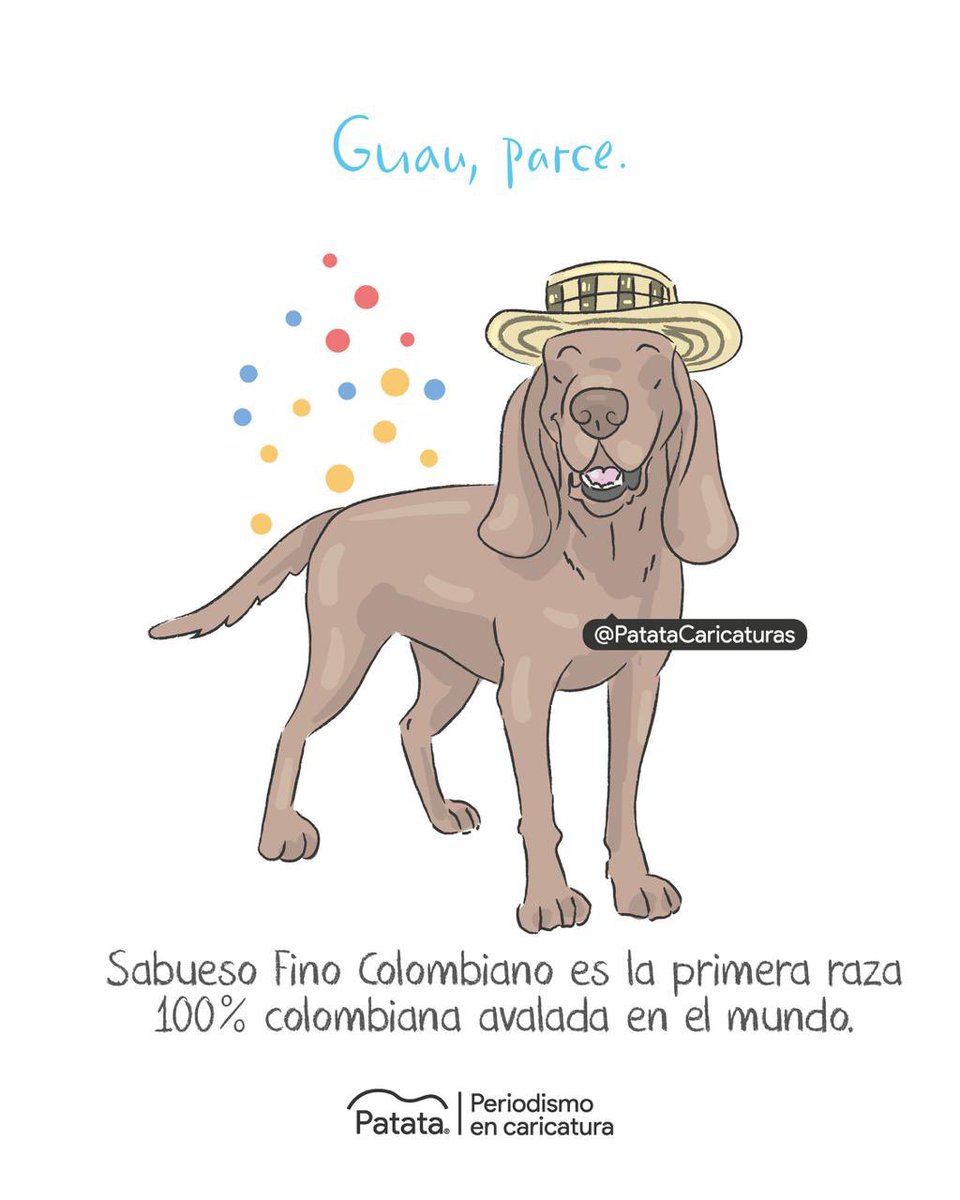 🐾🇨🇴 La primera raza 100% colombiana.
🧵
