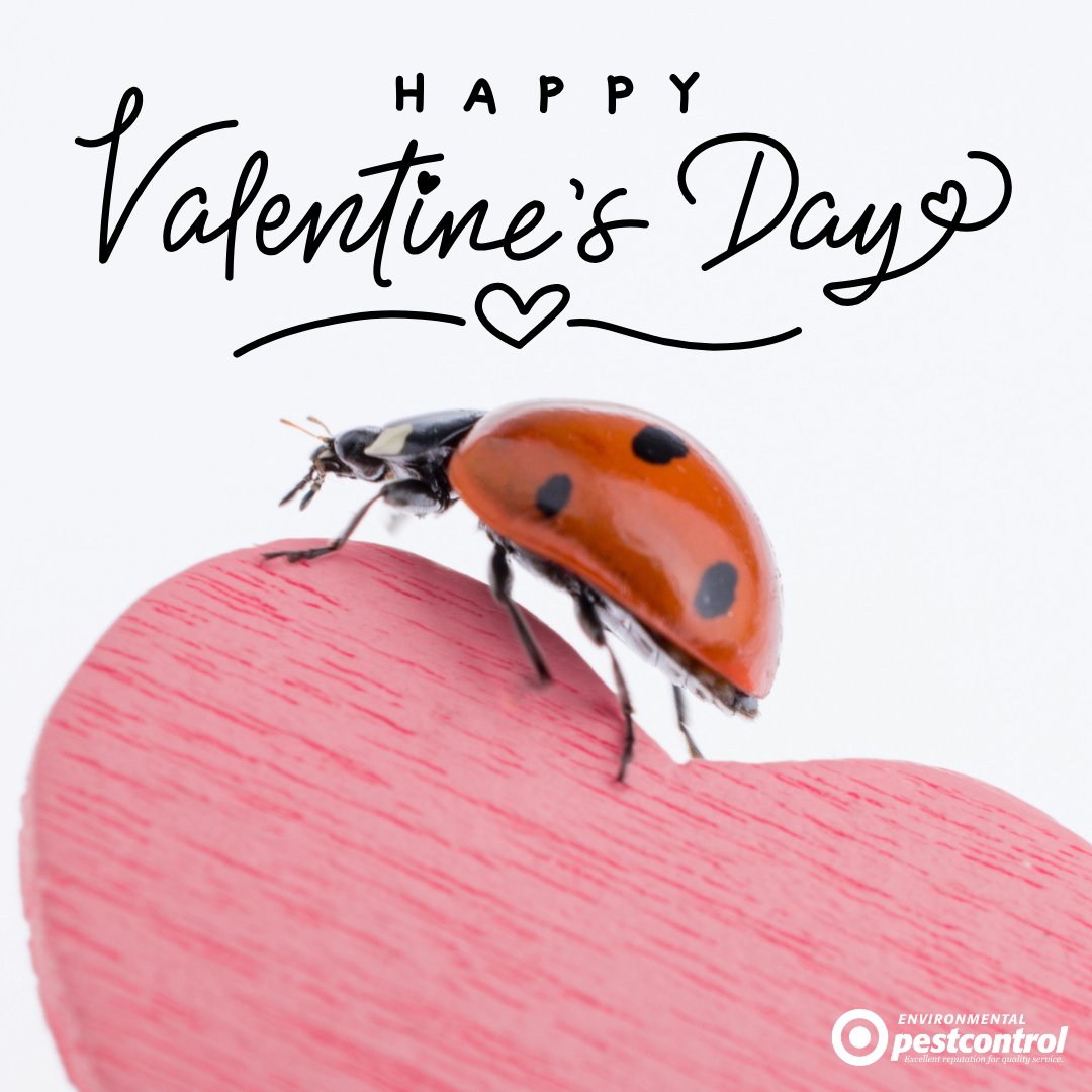 ENVPestControl's tweet photo. Nothing's more romantic than a pest-free home.😎😆
Happy Valentine's Day!💚 https://t.co/66MQHxa2FG