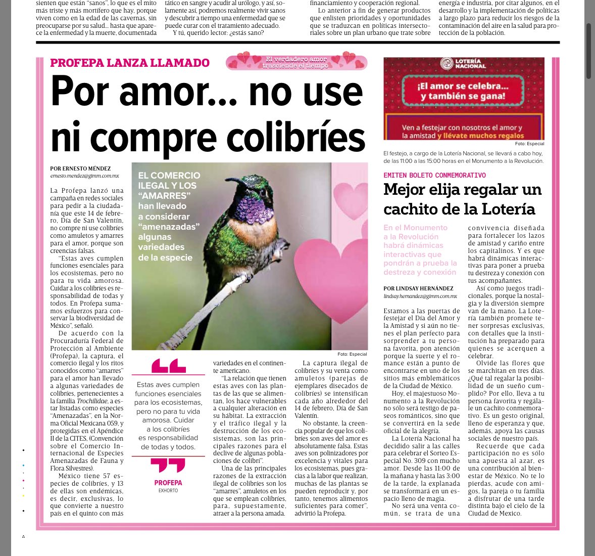 Por amor… no use ni compre colibríes
Vía <a href="/Excelsior/">Excélsior</a> 
Leer: excelsior.com.mx/nacional/profe…