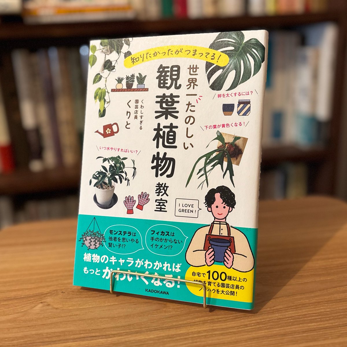 緑蔭堂 tweet media