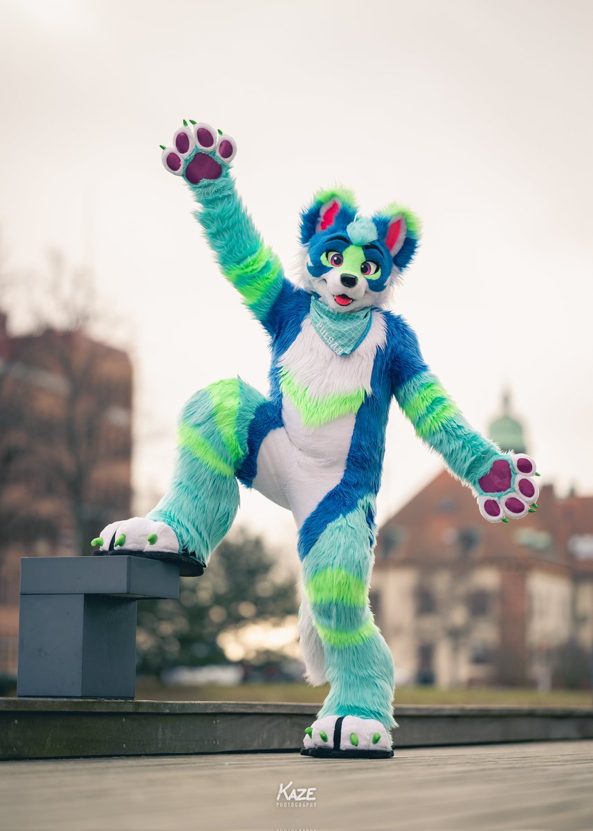 It is crazy NFC is just a few days away!! ✨️

Who am I gonna see?? I can't wait to share some soft hugs with friends again ☺️

#FursuitFriday
📸 <a href="/KazeShiba/">Kaze/Kazumi @ Bluesky</a>