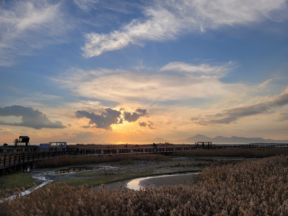 匿名 K (@solera_k_) on Twitter photo 