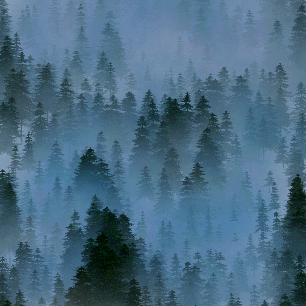 JeffClark's tweet photo. Hiking in the misty forest...
#CodeGenerated https://t.co/DJgh0YR6Tp
