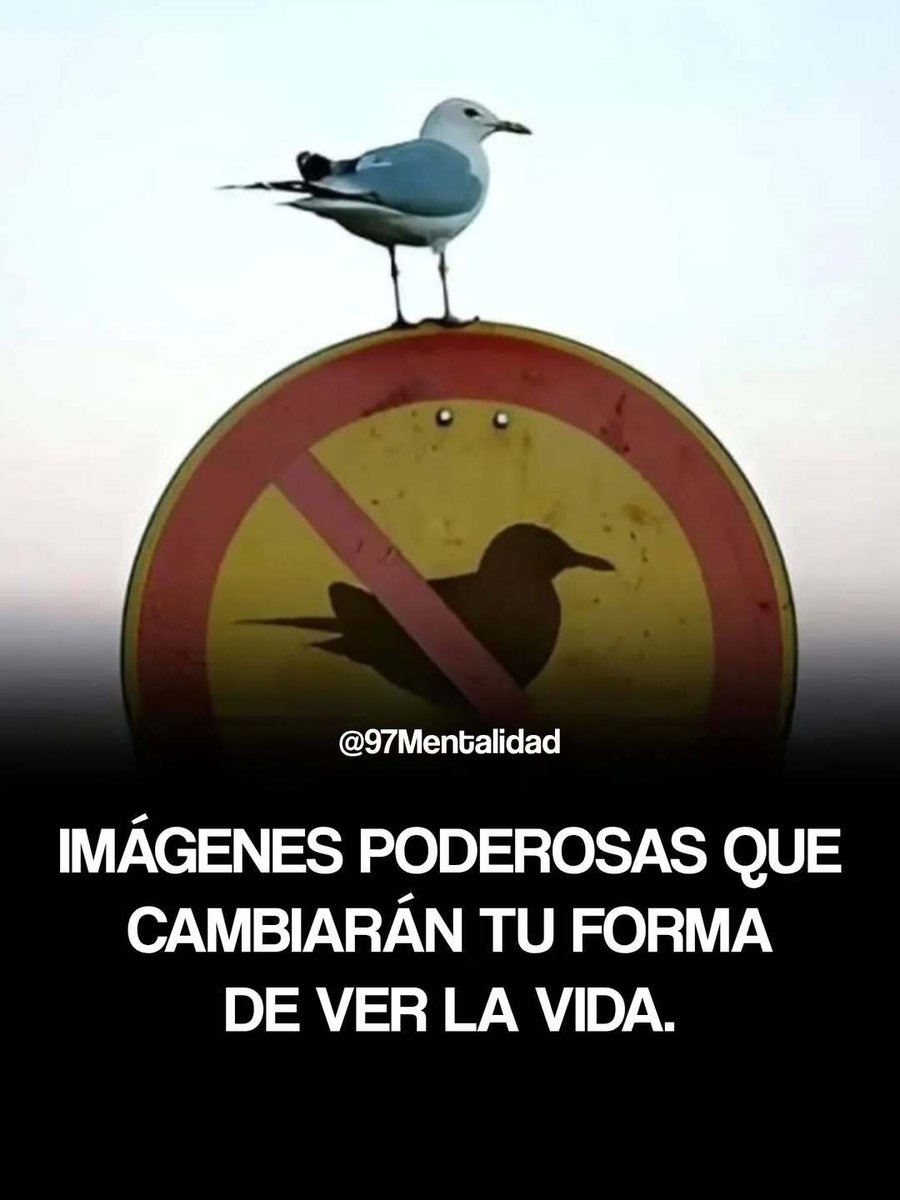 milenialmentor's tweet photo. Imágenes poderosas que cambiarán tu forma de ver la vida.

- HILO - https://t.co/SEzMHKnYXm