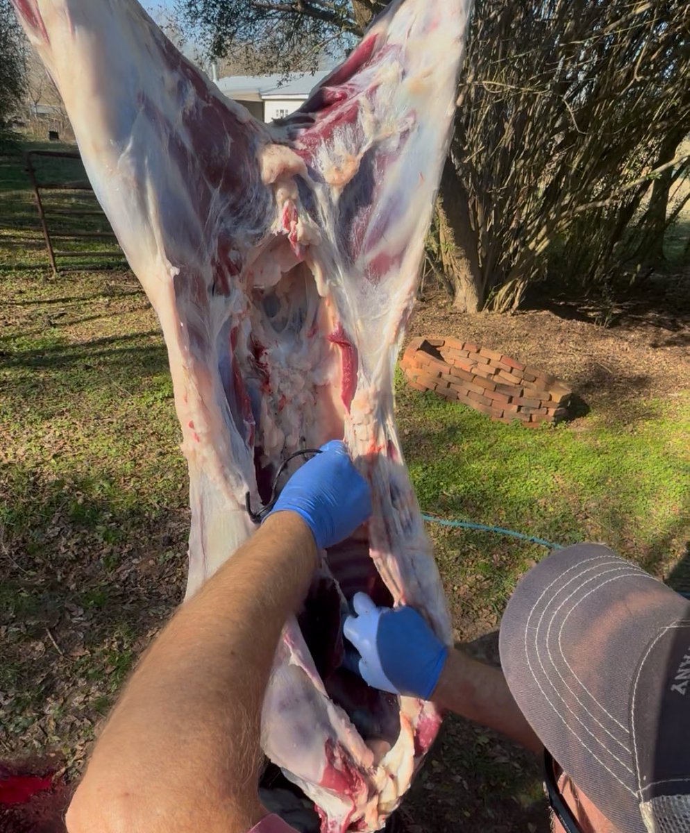 Contemplating hosting a butcher workshop in Athens, Georgia

This is an essential skill that very few people have that most people should in my opinion

I think there is interest, but wanted to know if there are enough people that would be willing to make the trek