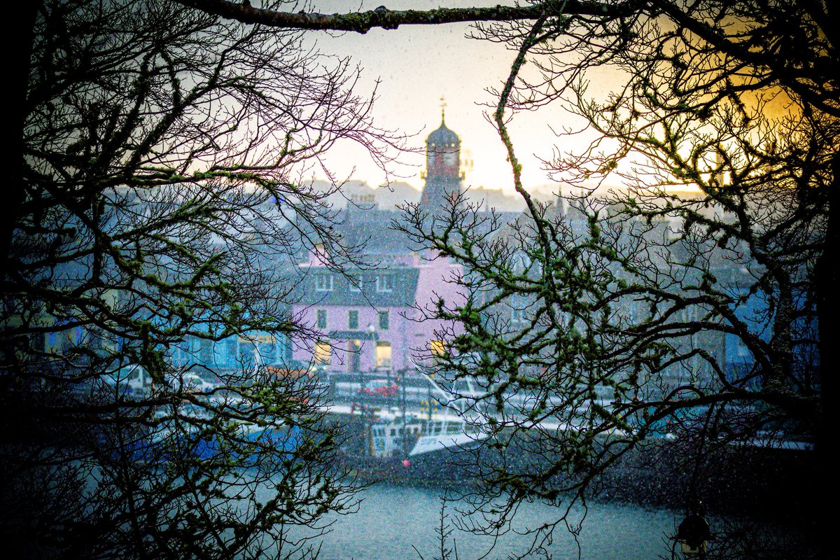 Dun Ringle🏴󠁧󠁢󠁳󠁣󠁴󠁿🇳🇴 tweet media