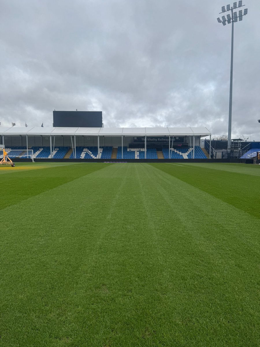 Liam Cash tweet media