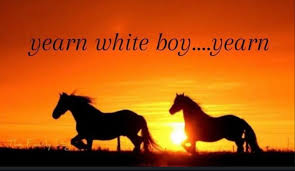 foxemaxee's tweet photo. YESSS WHITE BOY YEARNNNNNNN https://t.co/fBXdsO7esc