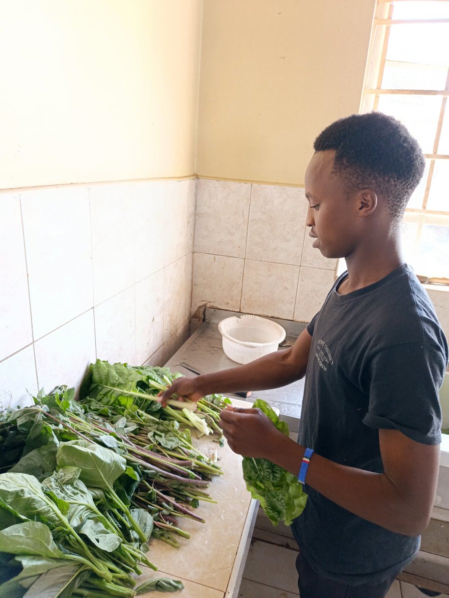 Institute for Food Justice and Development tweet media