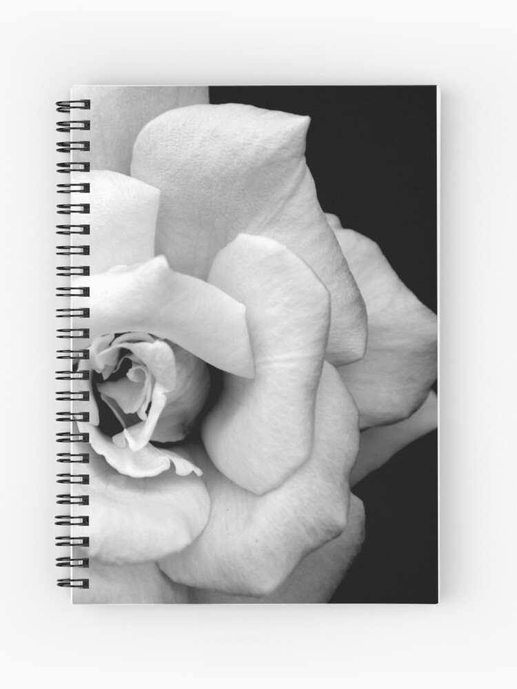 15% OFF With Any 2 <a href="/redbubble/">Redbubble</a> journals &amp; notebooks! Ft. Cute spiral notebook with Monochrome rose flower photography by ARTbyJWP
redbubble.com/i/notebook/Mon…

#notebooks #journals #redbubble #Salesforce #ShopNow