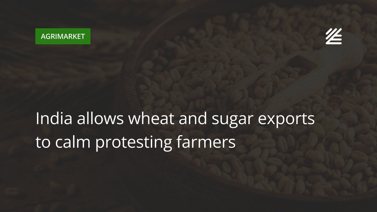 UkrAgroConsult's tweet photo. 🇮🇳 #India allows #wheat and #sugar #exports to calm protesting farmers amid US trade deal

The government of India has approved exports of 2.5 mln tons of wheat, along with an additional 500 thsd tons each of wheat products and sugar.

More details 👉https://t.co/doI4EVFGJQ https://t.co/nrC5uVHNVX