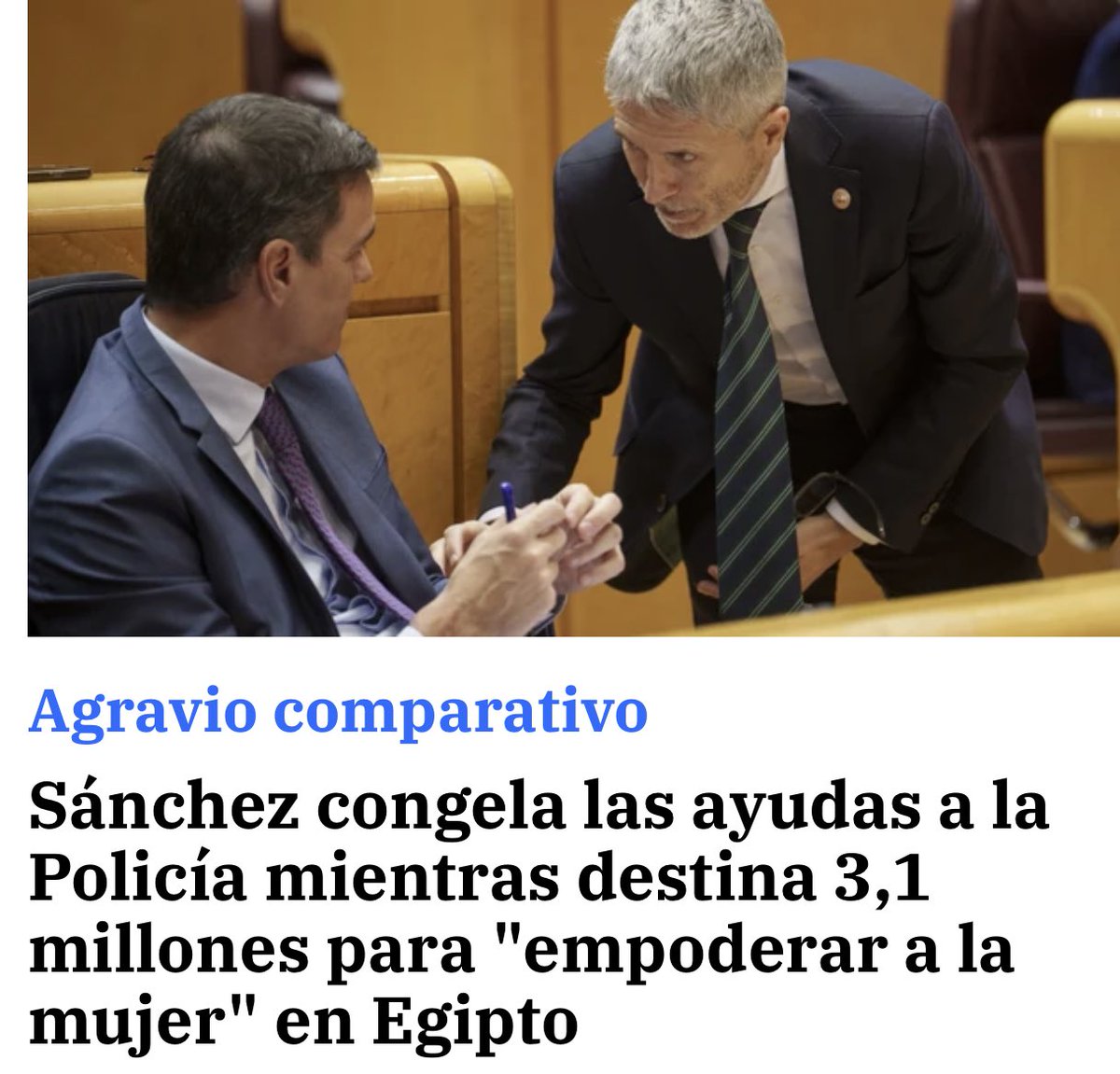 Robar, robar y robar…