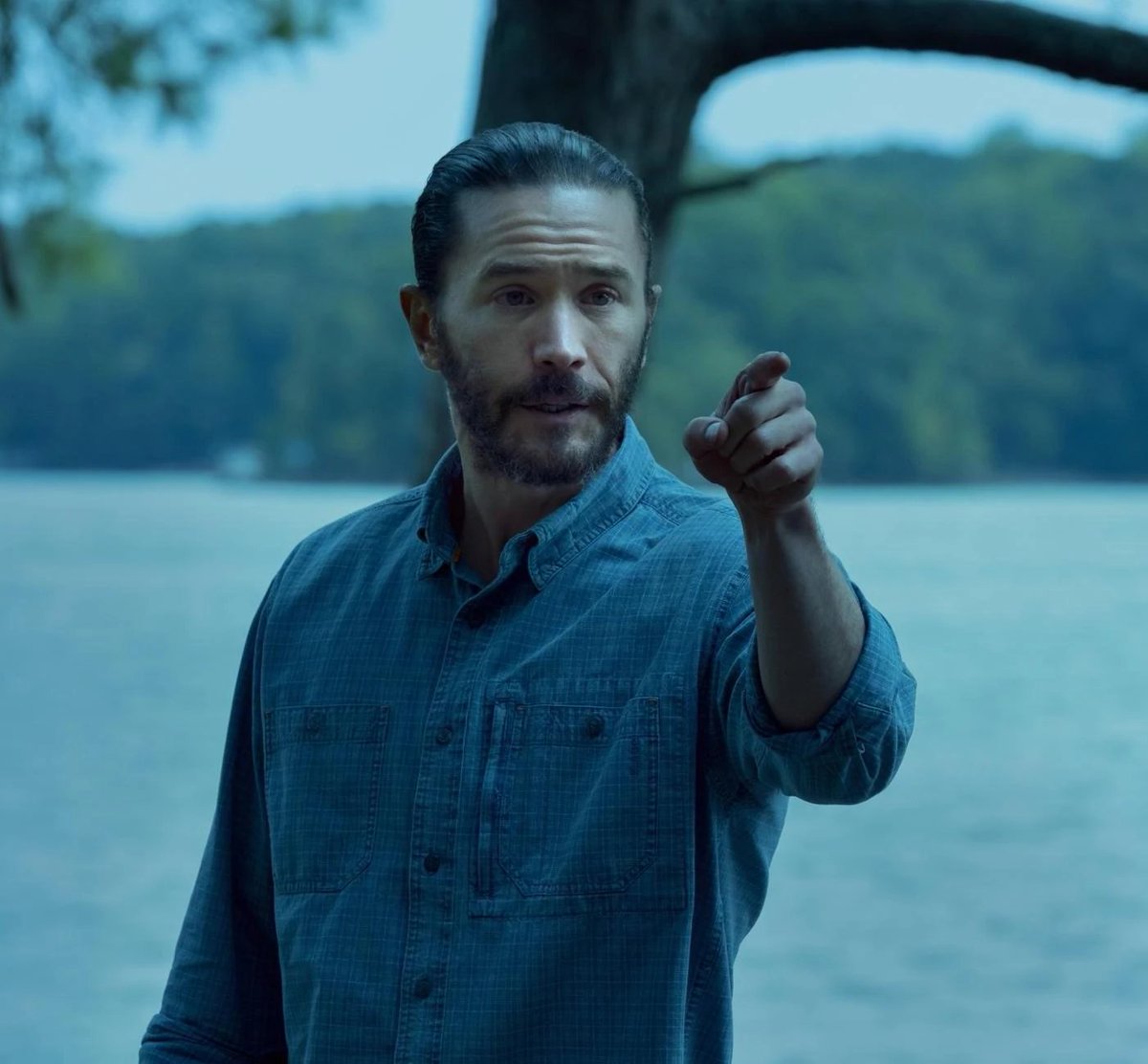 Ayer me terminé Ozark. Serie entretenida, para mi lejos de las grandes pero se hace llevadera. Mención especial a Tom Pelphrey como Ben, la mejor actuación de la serie de lejos.