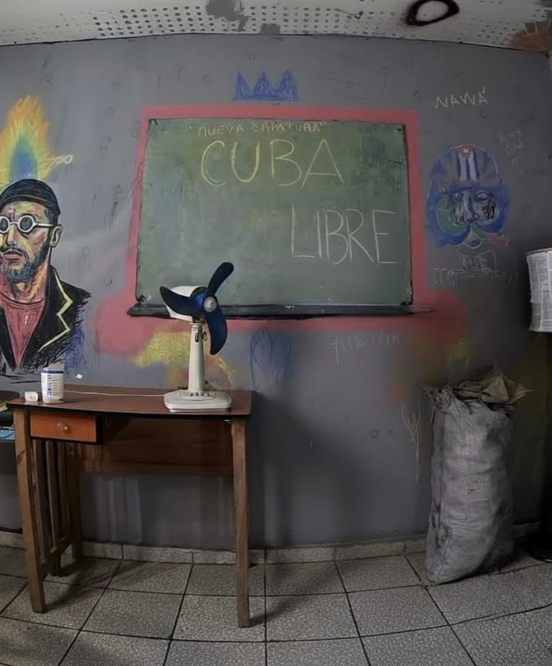 Daniela Rojo tweet media