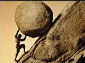 Alex Gomez tweet media