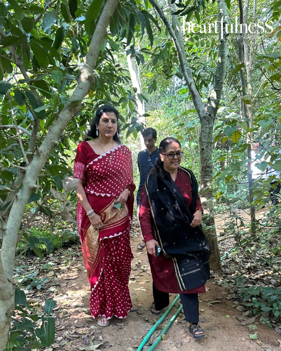 Kanha Shanti Vanam tweet media