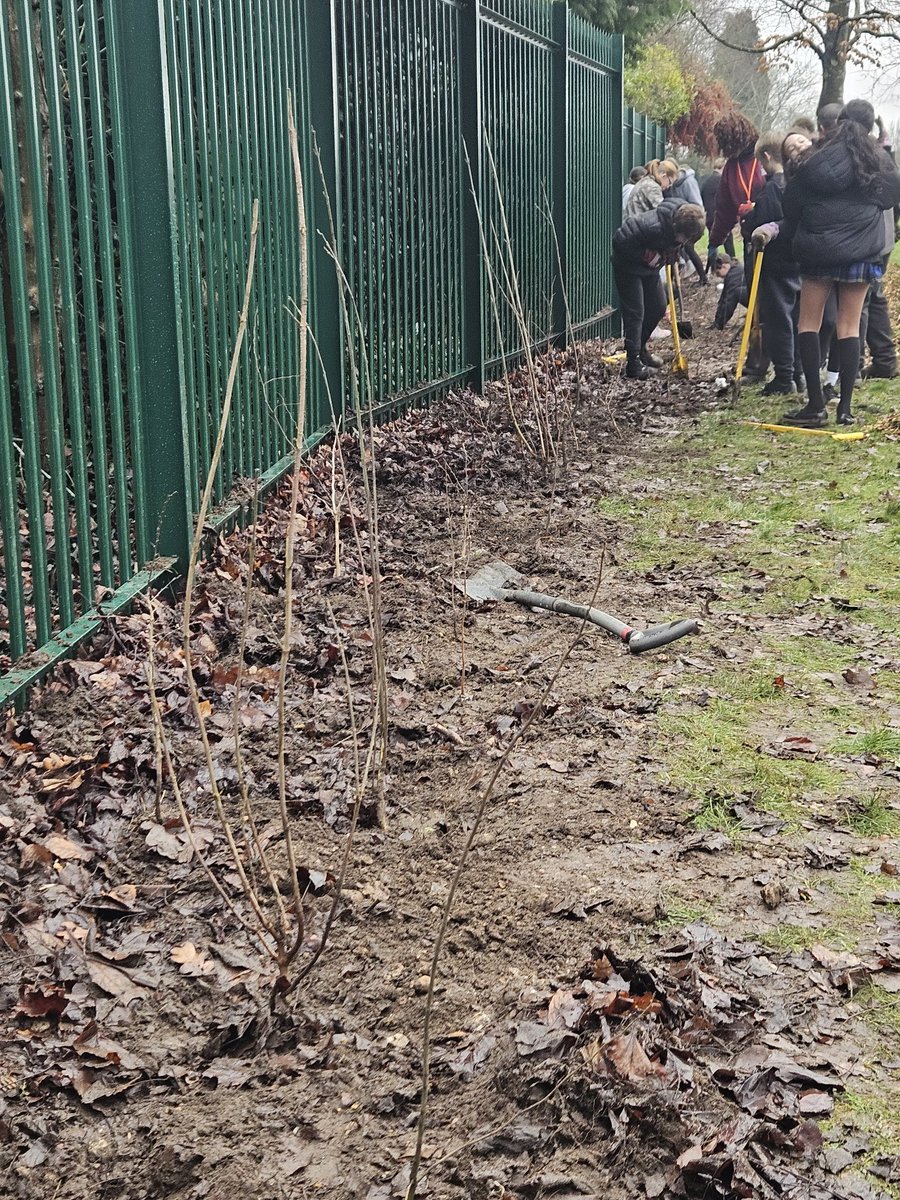 CSP Parish Council tweet media