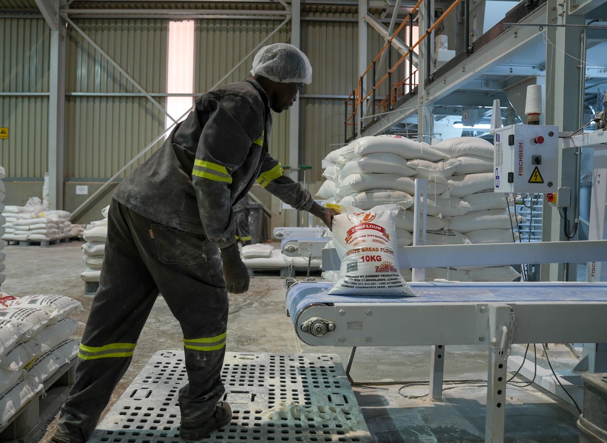 What does food security look like in #Zambia?
It looks like 7,000 employees, 100,000+ smallholder farmers &amp; one of the country’s largest agribusinesses scaling up with an <a href="/IFC_org/">IFC</a> investment. Meet the people powering growth at <a href="/MyZambeef/">ZAMBEEF</a>.
➡️ wrld.bg/1btX50Yfbgx