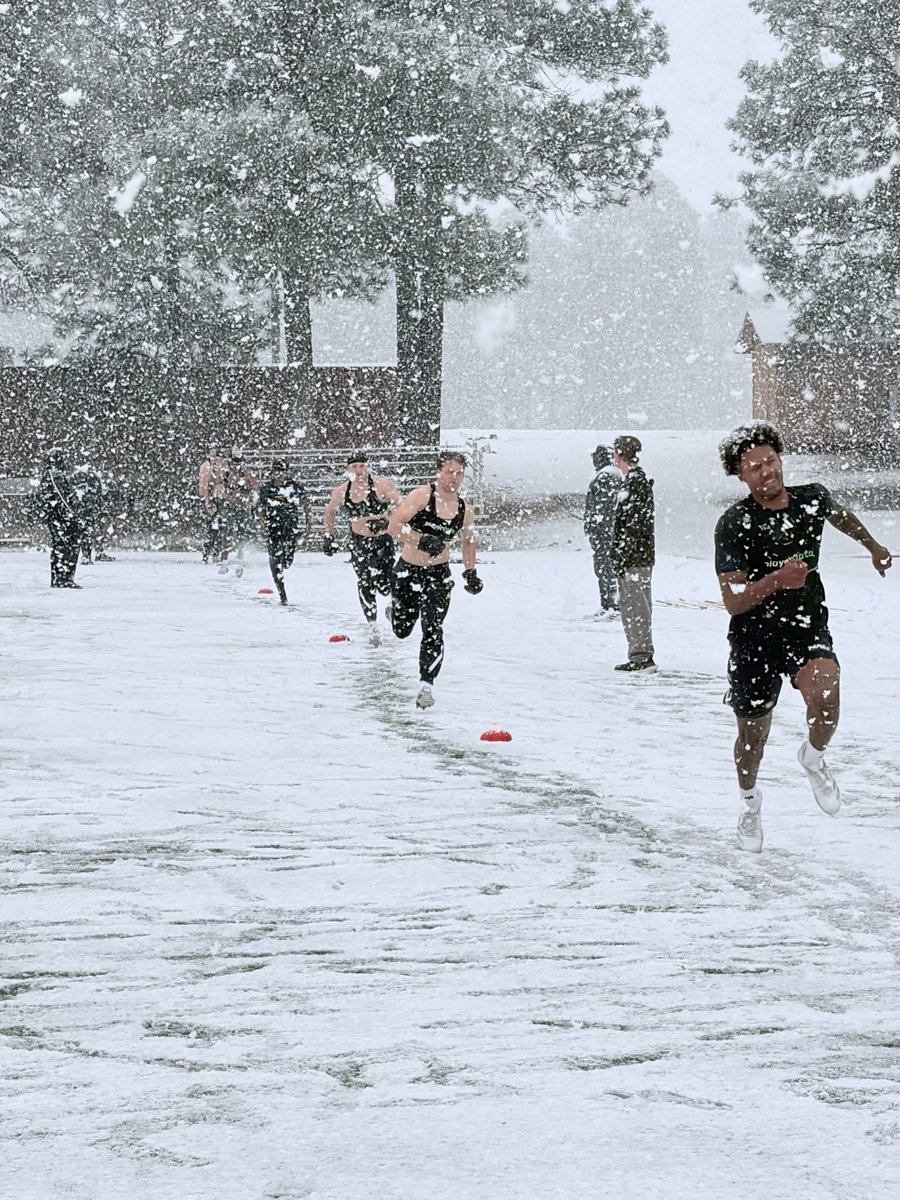 Jerry DiMinno tweet media