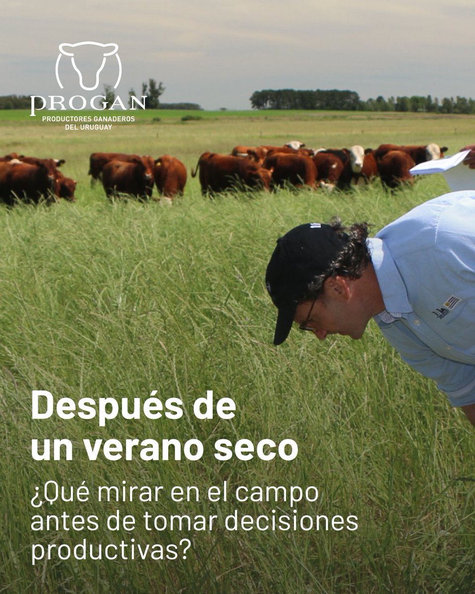 Progan - Productores Ganaderos del Uruguay tweet media