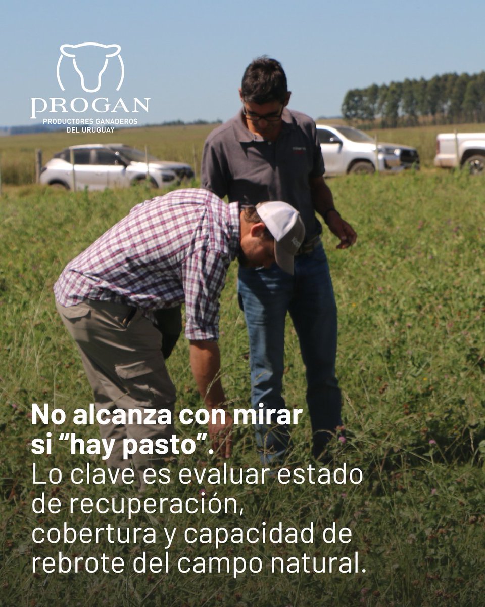 Progan - Productores Ganaderos del Uruguay tweet media