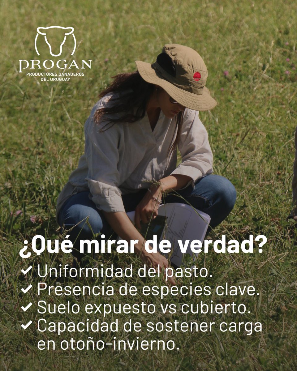 Progan - Productores Ganaderos del Uruguay tweet media