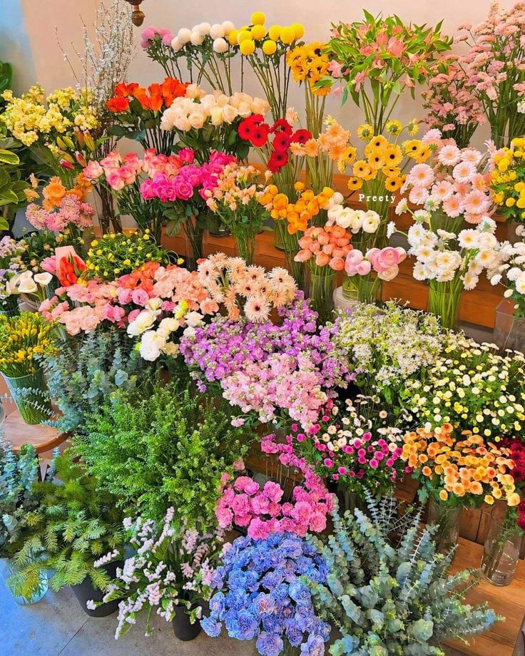 𝓣𝓱𝓮𝓑𝓵𝓸𝓼𝓼𝓸𝓶𝓢𝓽𝓾𝓭𝓲𝓸 (@phollukidukaan) on Twitter photo 