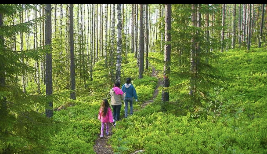 Thorstrike tweet media