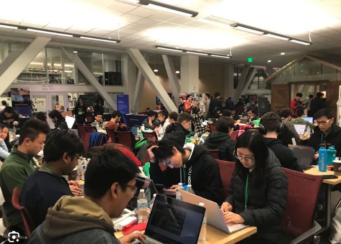 Quincy Larson tweet media