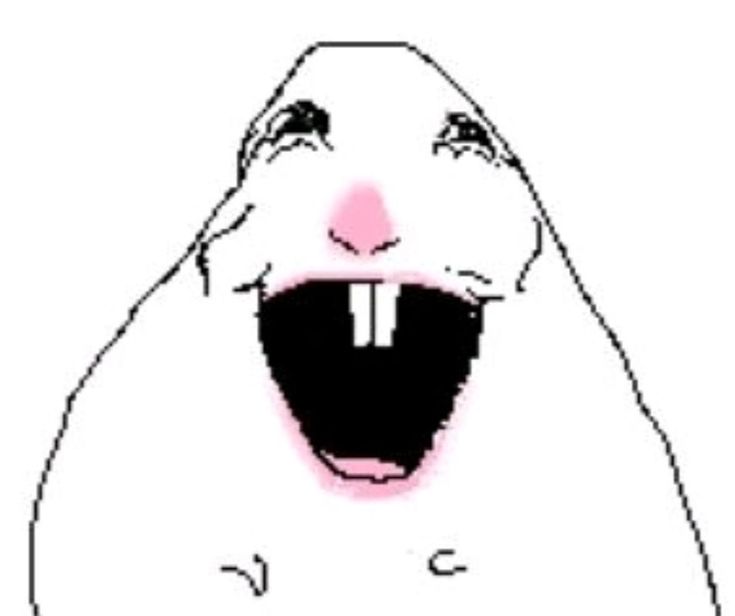 ᅠᅠჽ𝒀𝑴𝑩𝑶͟𝑳͟ ͟ of 𝚃𝚁𝚄𝚃͟𝙷͟ ͟ .ᅠᅠ tweet media