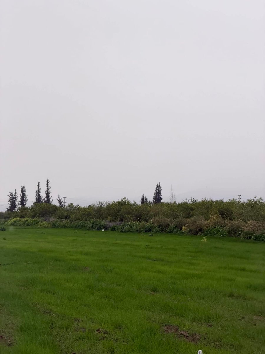 - شهدت المواقع السياحية والطبيعية في محافظة إربد تدفقاً لآلاف المتنزهين في الجمعة الأخيرة قبل حلول شهر رمضان المبارك

- توزع الزوار على عدد من المواقع في ألوية الأغوار الشمالية وبني كنانة والكورة والمزار الشمالي

- تتميز هذه المناطق بتنوعها البيئي، إلى جانب انتشار الأودية