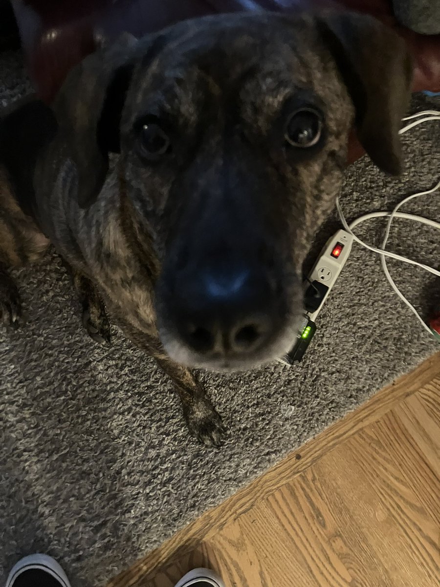 bugberry202 tweet media