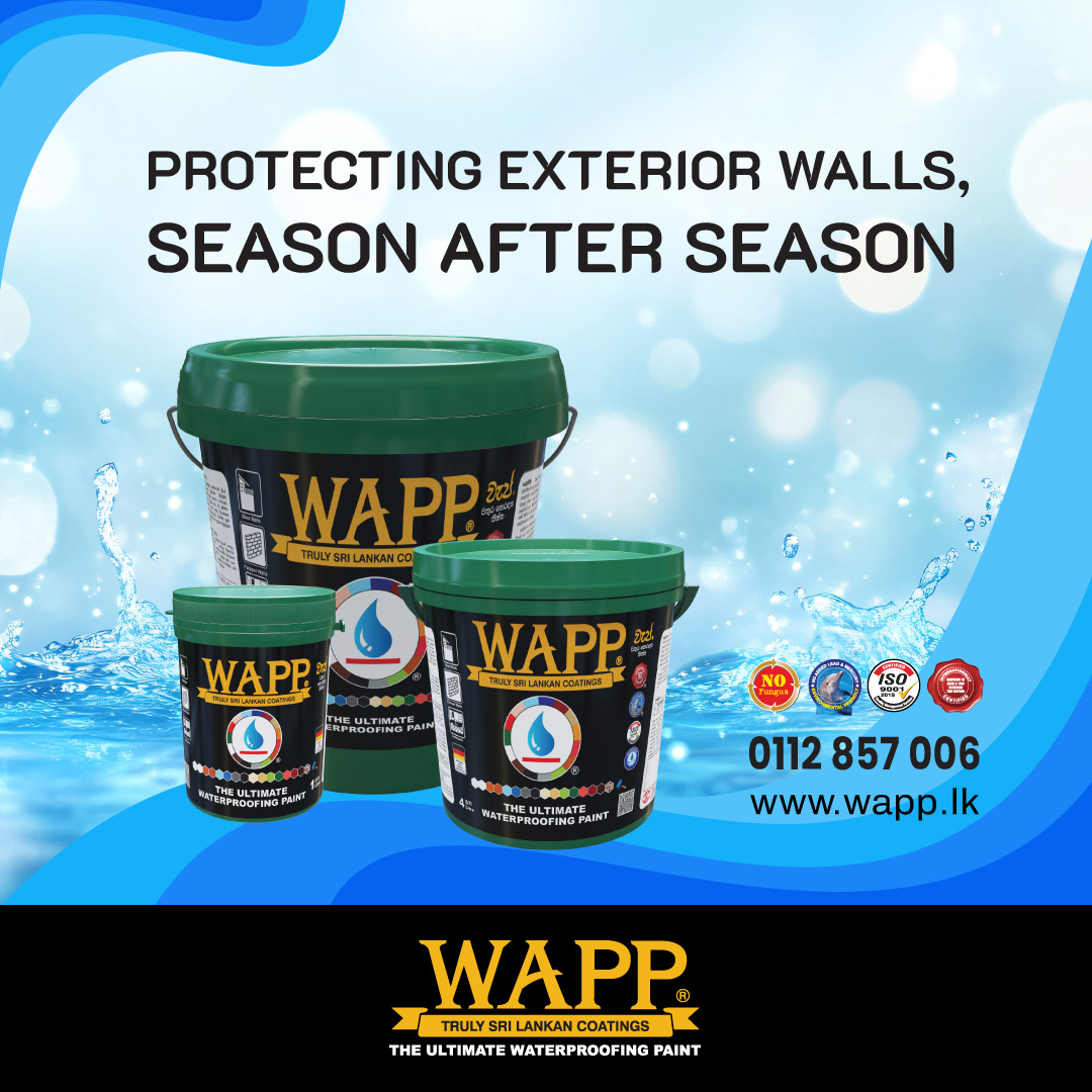 WappPaint's tweet image. WAPP: Protecting Exterior Walls, Season After Season... 👌
#exteriorwall #afterseason #wapp #waterproofingsolutionsgpaint #waterproofing #weatherproofing #multicolor #exteriorcoating #waterproofingpaintsrilanka #waterproofingsrilanka #wappwaterproof #wappsrilanka
