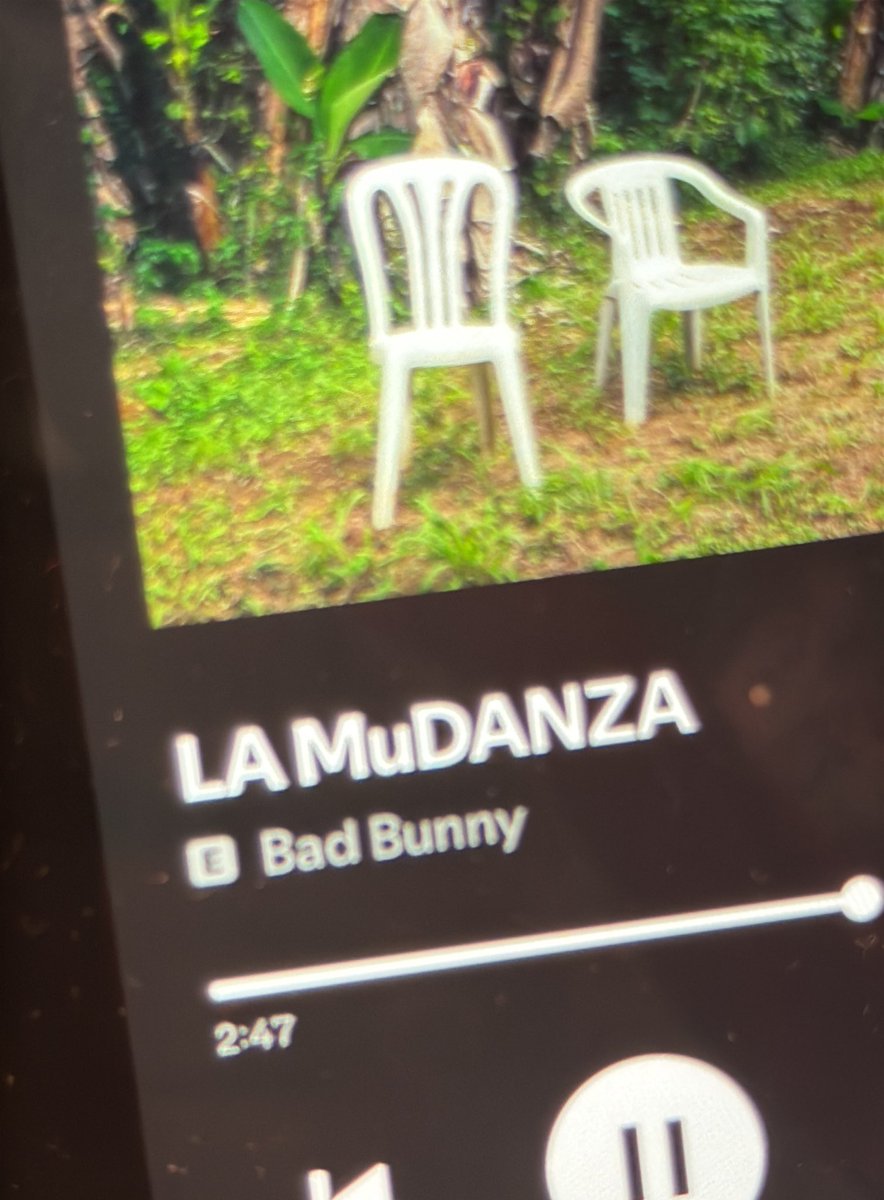They don’t put pedos in jail, but they investigating bad bunny for saying potty 🚽 words? 

R u fucking with me? 
Playing him on repeat 

Ya se habla espanjol
Yayayaya