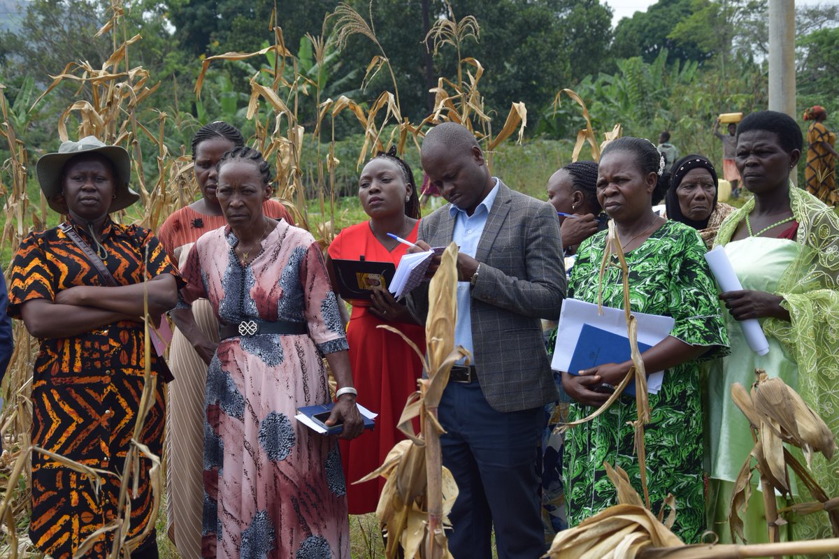 Bulindi ZARDI tweet media