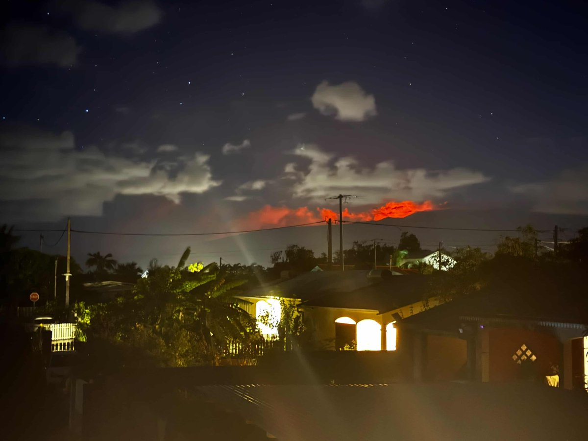 MP 974👨🏽‍🏫🌍⏳🏺🐈🐝✈️🇷🇪🇫🇷 tweet media