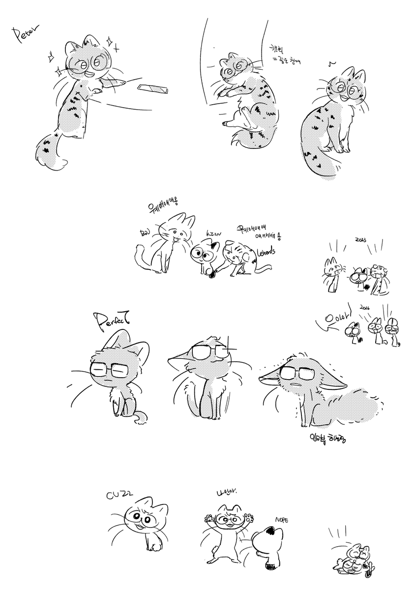 이상한 고양이낙서 핕 퍼펙또 컺 (과 비딛 리헩 긴 룰 듀)
