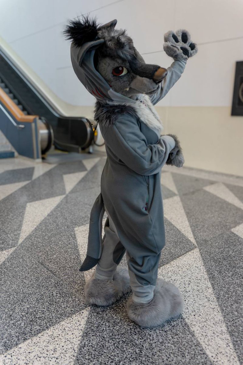 Dizzigner Club tweet media