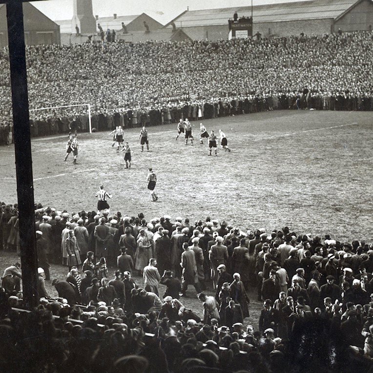 Talking Wolves tweet media